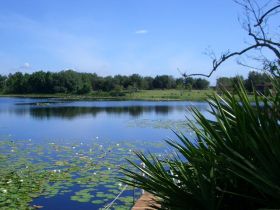 ROBBINS REST