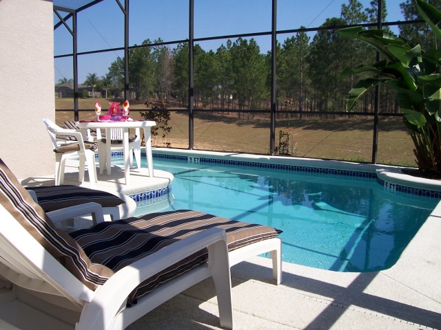 Pool with a View!